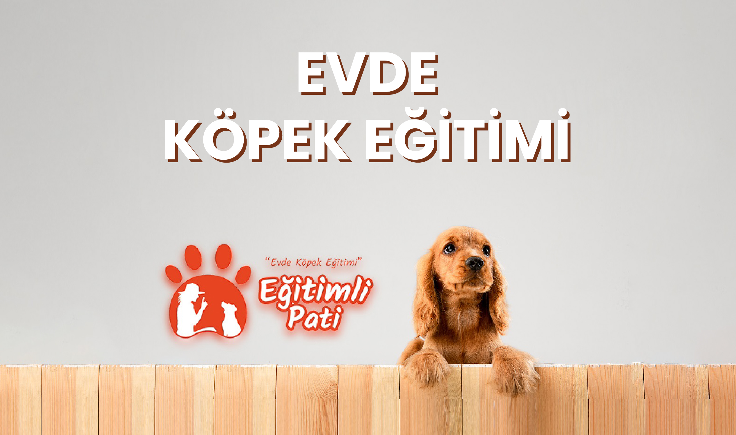 Profesyonel Evde Köpek Eğitimi