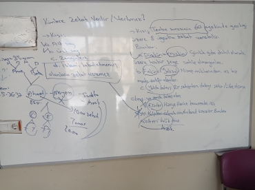 Ortaokul ve Lise Arapça